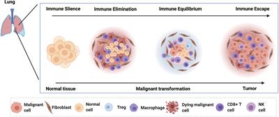 Deciphering the Immune–Tumor Interplay During Early-Stage Lung Cancer Development via Single-Cell Technology
